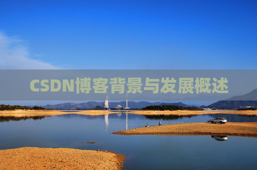CSDN博客背景与发展概述